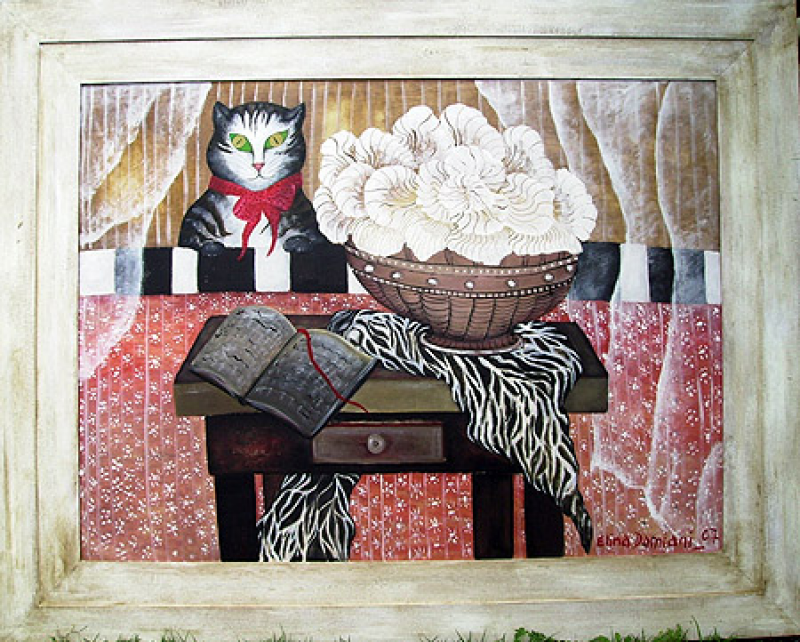 Gato