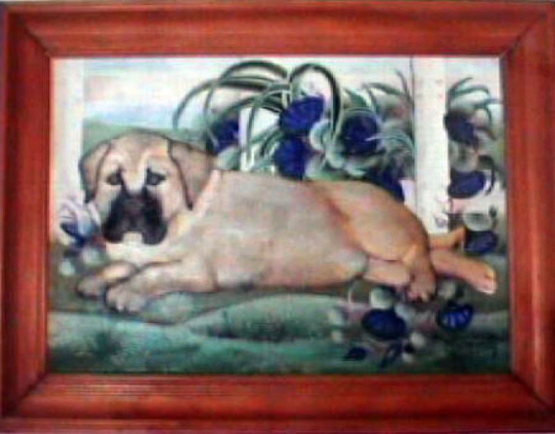 Cachorro