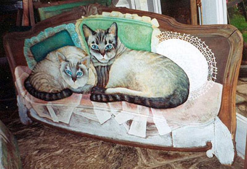 Gatos