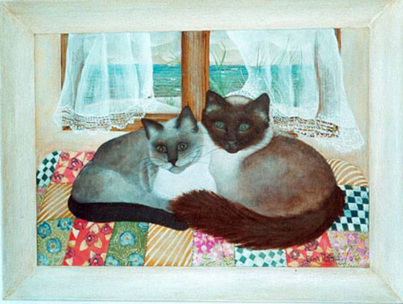 Gatos