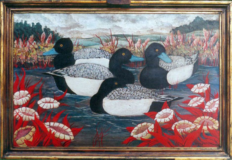 Patos en laguna