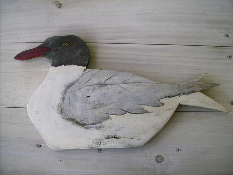 Gaviota sobre madera