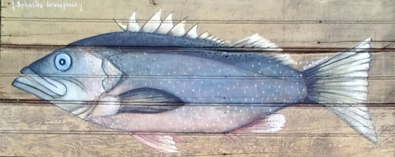 Pescado sobre madera