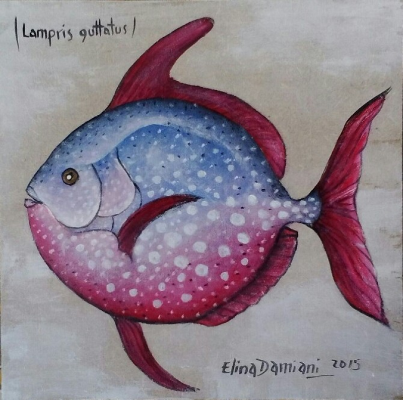 Lampris guttatus