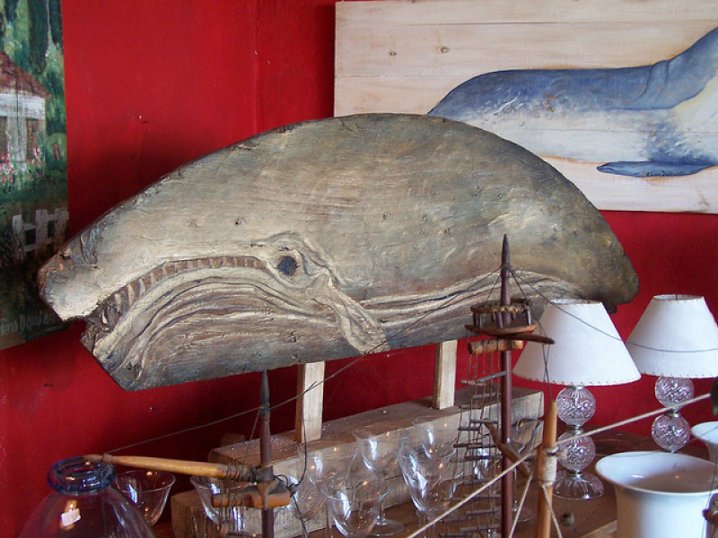 Ballena