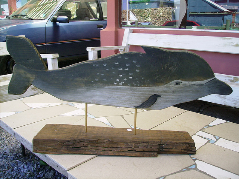 Franciscana, tonina de mar